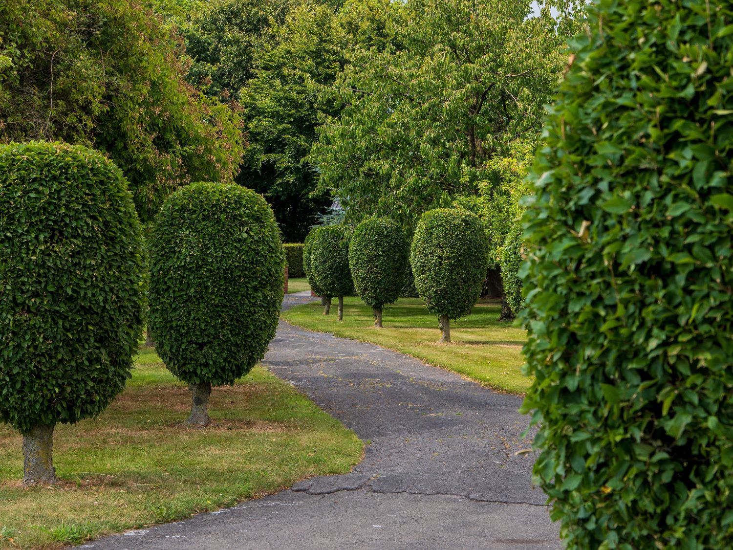 Topiary kolem cestičky